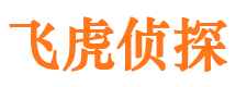 都江堰市调查公司